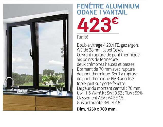 fenêtre aluminium odane 1 vantail