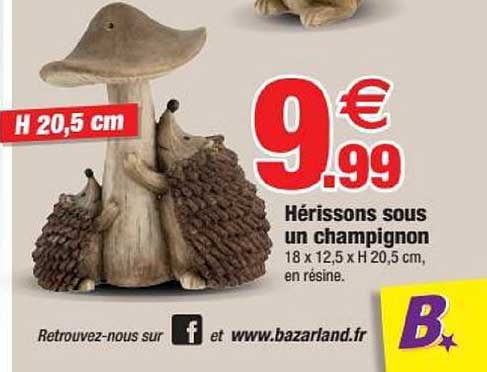 hérissons sous un champignon