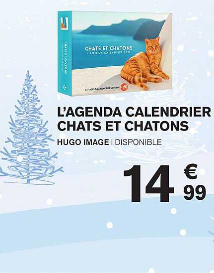 l'agenda calendrier chats et chatons hugo image