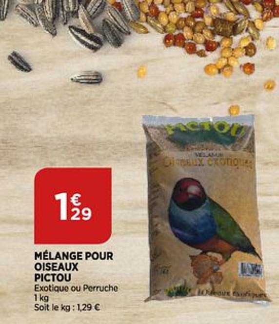Mélange Pour Oiseau Pictou