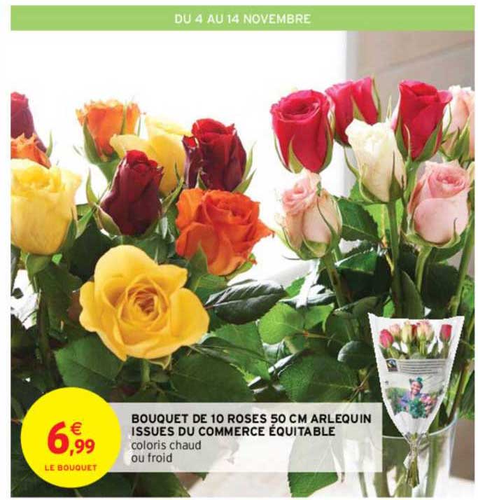 bouquet de 10 roses 50 cm arlequin issue du commerce équitable