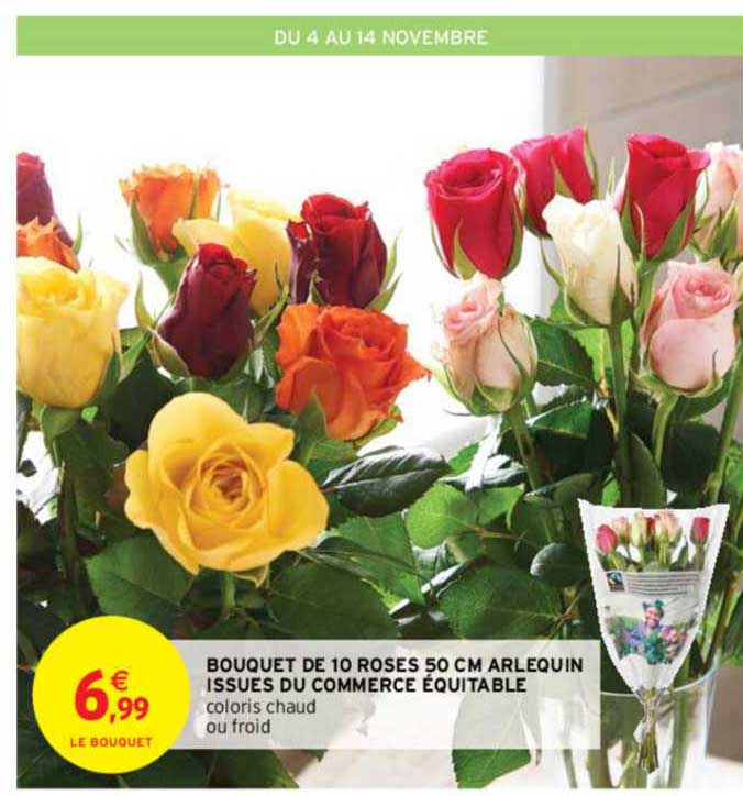 bouquet de 10 roses 50 cm arlequin issues du commerce équitable