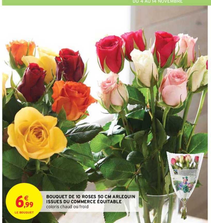 bouquet de 10 roses 50 cm arlequin issues du commerce équitable