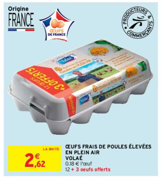 oeufs frais de poules élevées en plein air volaé