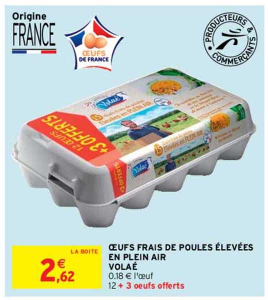 oeufs frais de poules élevées en plein air volaé