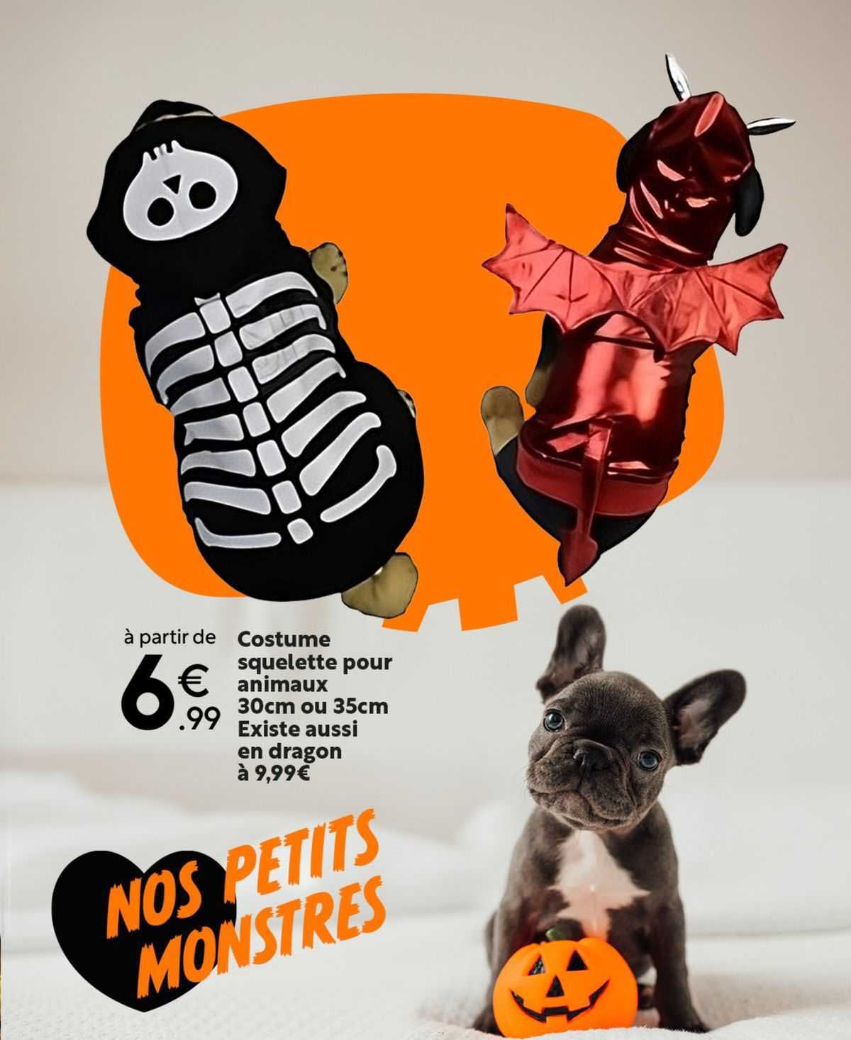 costume squelette pour animaux 30 cm ou 35 cm , en dragon