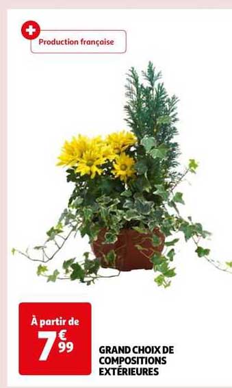 grand choix de compositions extérieures