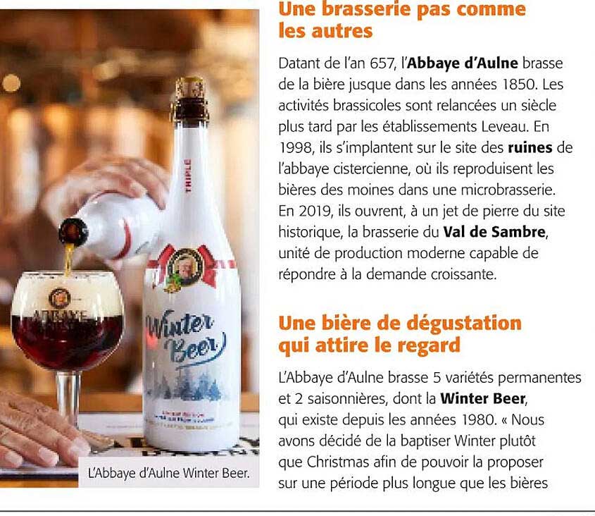 l'abbaye d'aulne winter beer