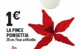la pince poinsettia
