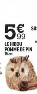 Le Hibou De Pin