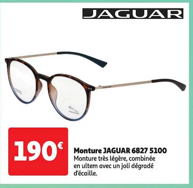 monture jaguar 6827 5100