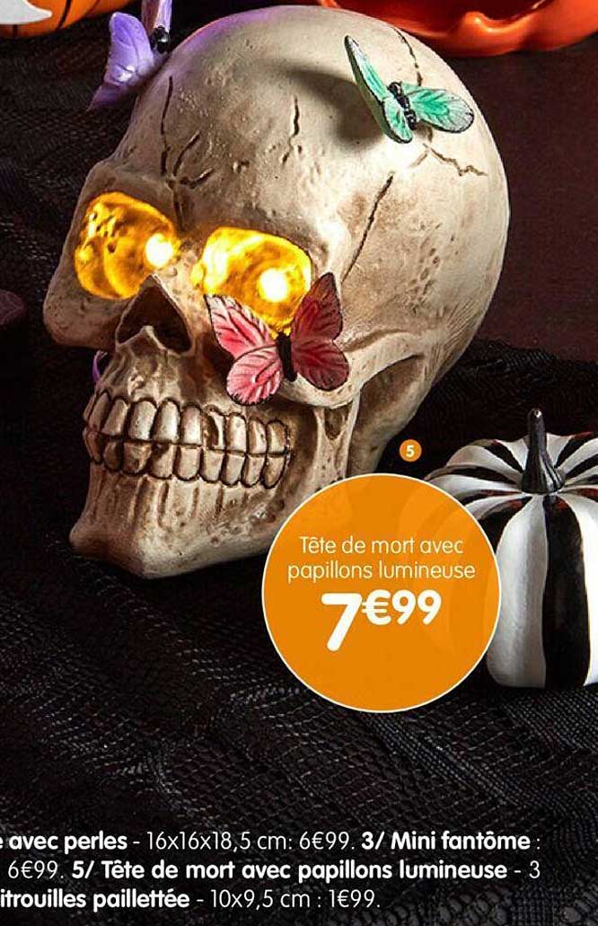 tête de mort avec papillons lumineuse