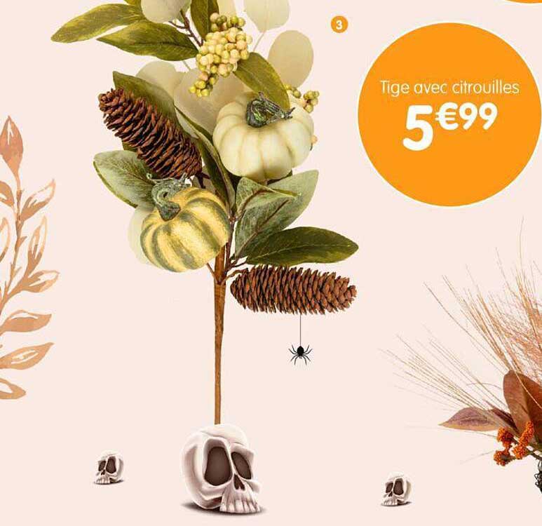 tige avec citrouilles