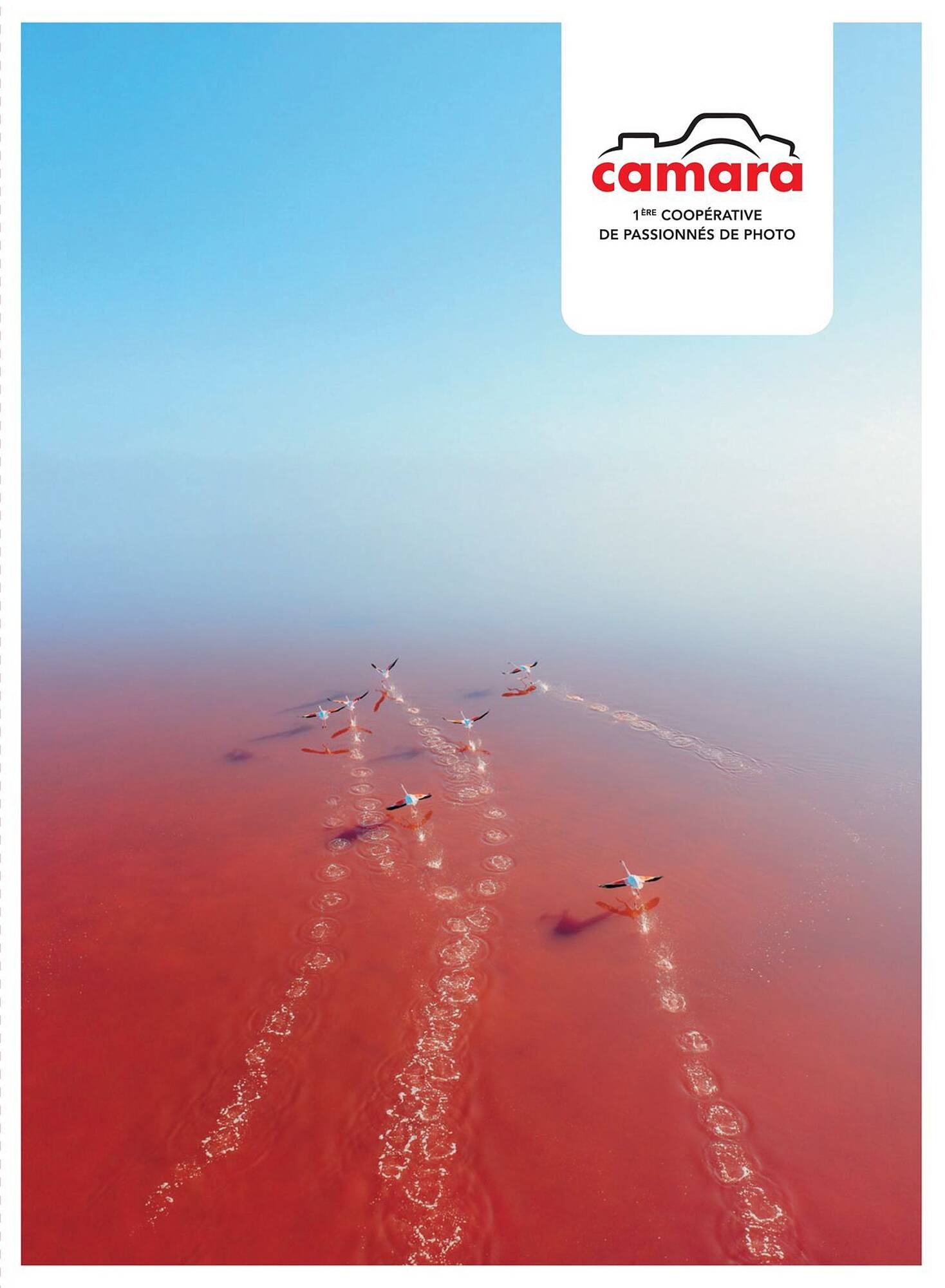 Camara Catalogue Du 06/01/2026 au 31/12/2026