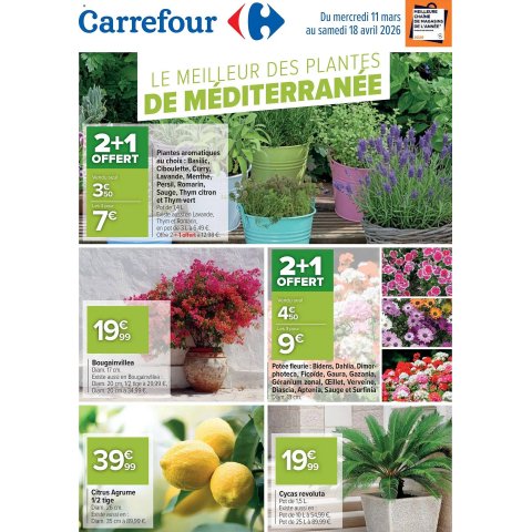 Carrefour