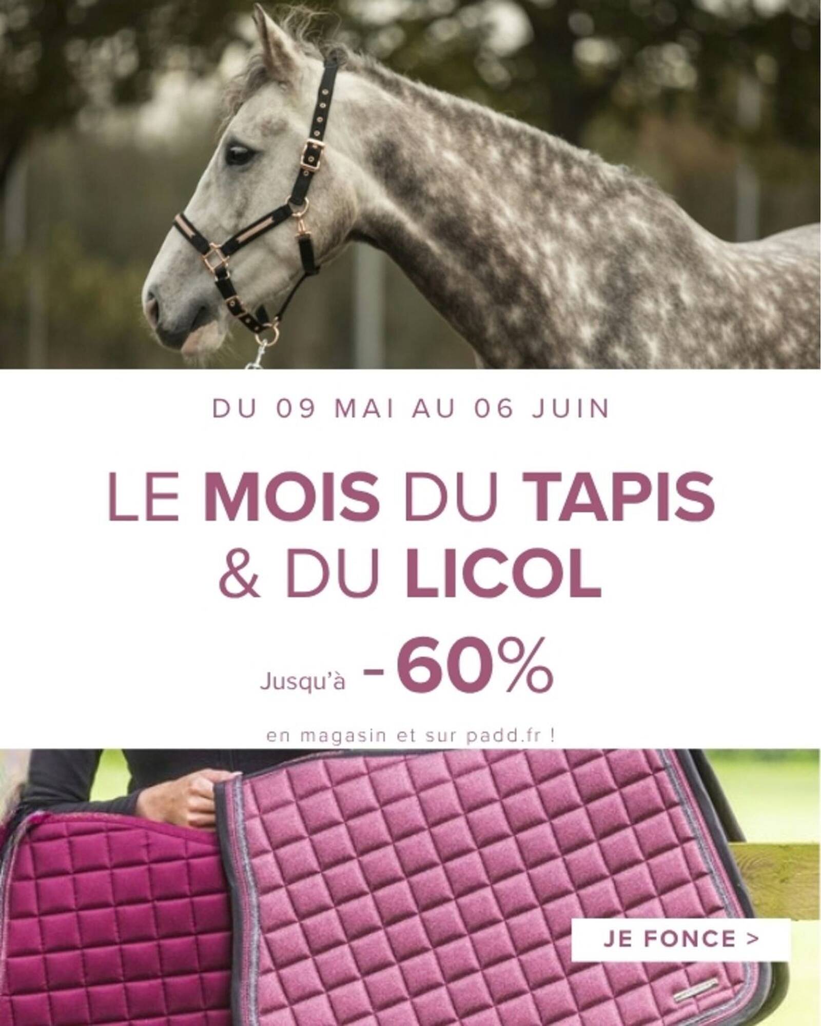 Padd Catalogue Du 13/05/2026 au 06/06/2026
