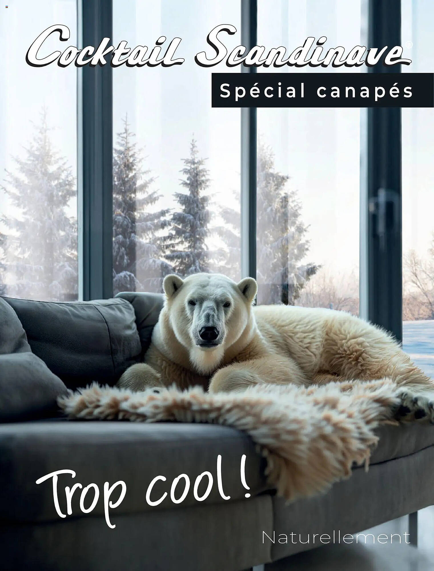 Cocktail Scandinave Catalogue Du 18/02/2026 au 25/04/2026