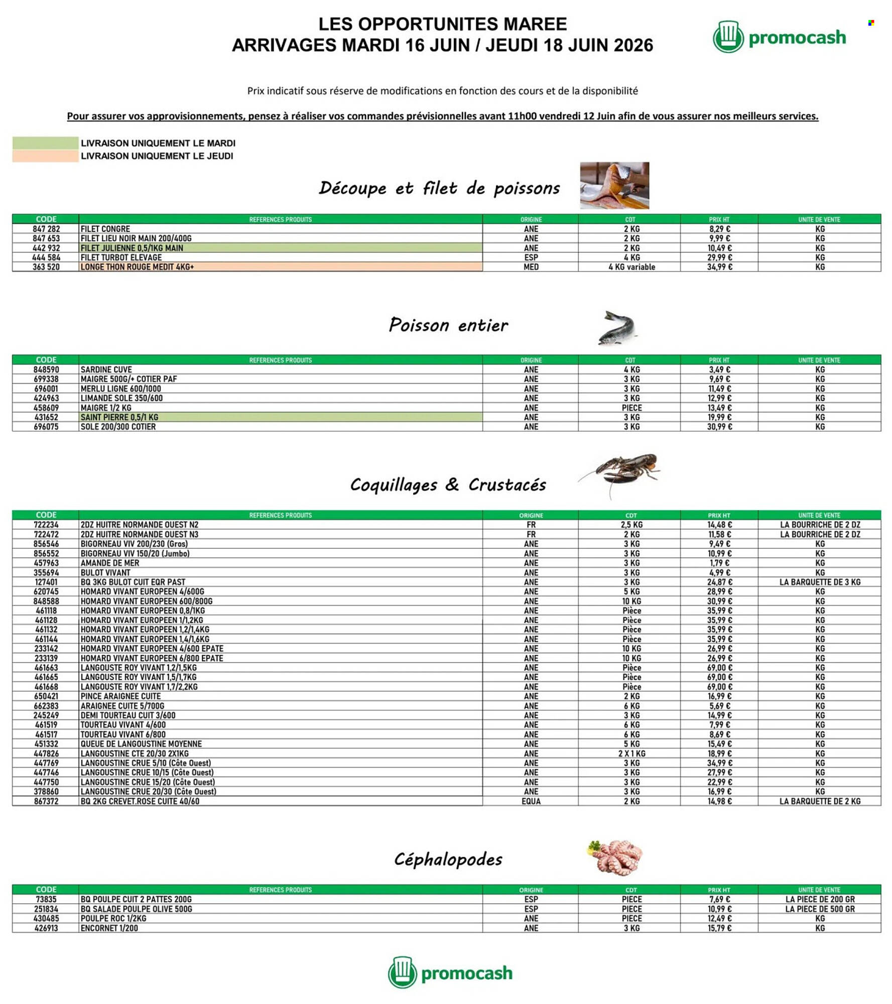 Promocash Catalogue Du 16/06/2026 au 18/06/2026
