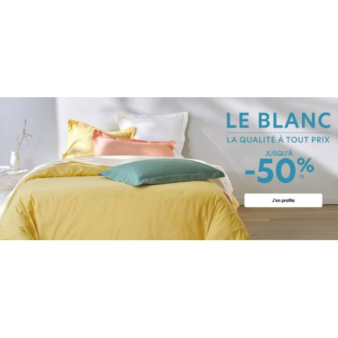 Becquet