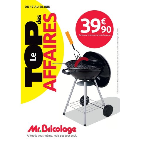 Mr Bricolage