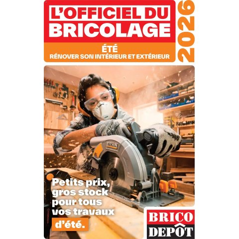Brico Dépôt