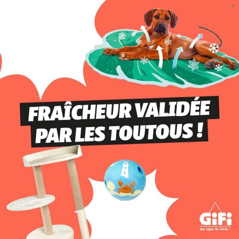 GiFi