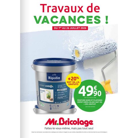 Mr Bricolage