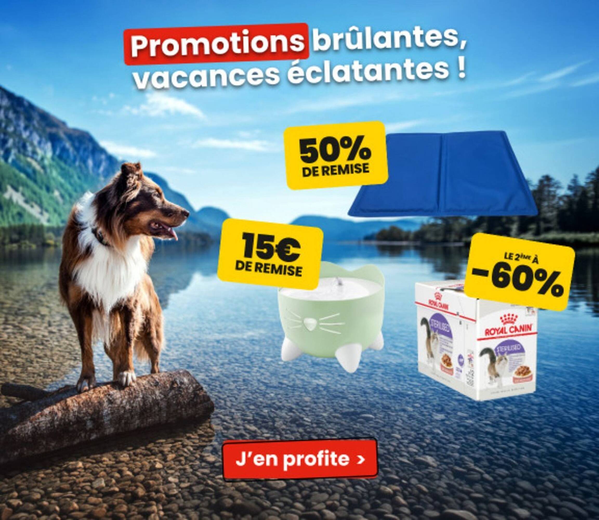 Animalis Catalogue Du 01/07/2026 au 21/07/2026