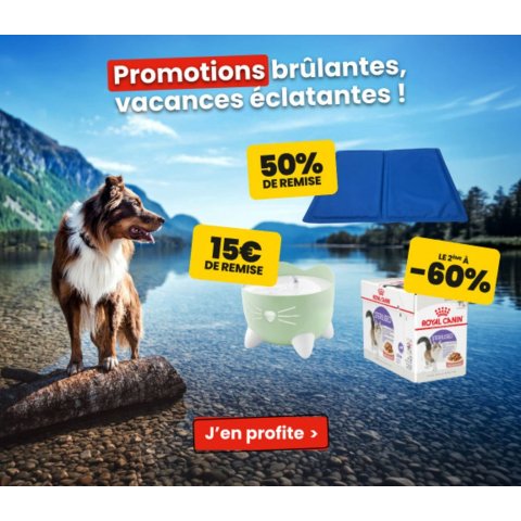 Animalis