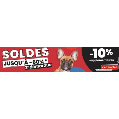 Animalis