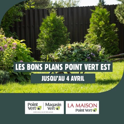 Point Vert
