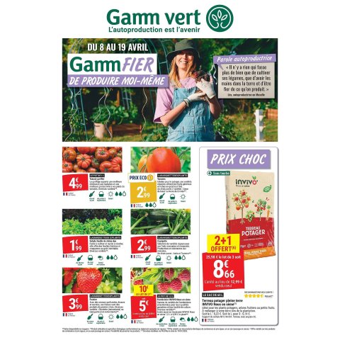 Gamm vert